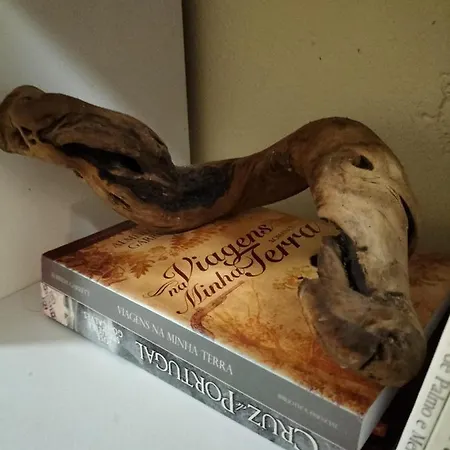 Casa Dias דירה פורטו מוניז